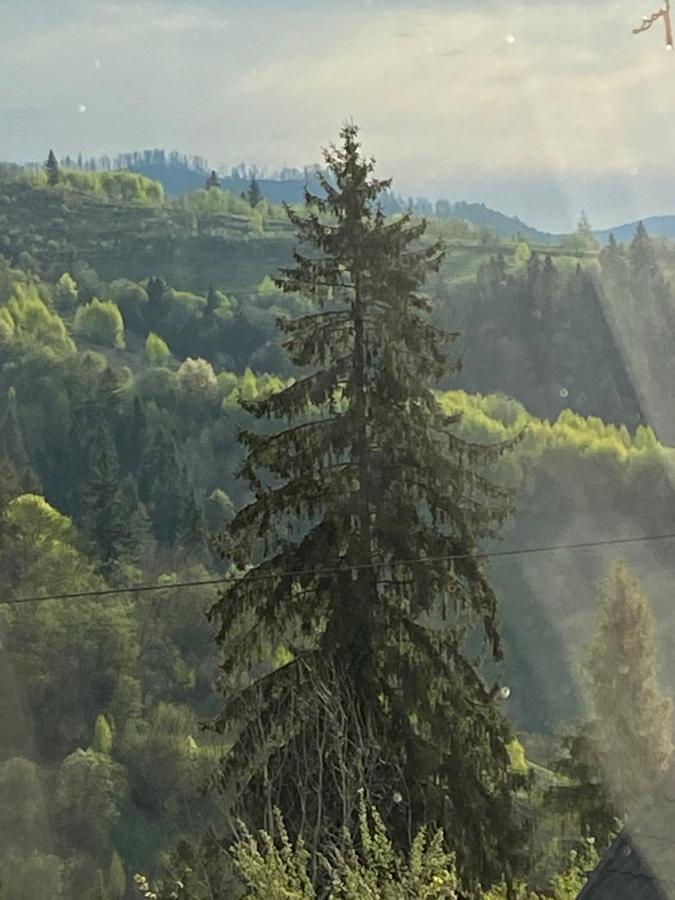 Шале Карпатська Казка Slavskoje Eksteriør bilde